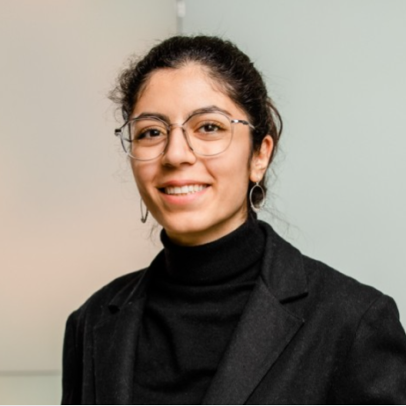 Shideh Heravi
